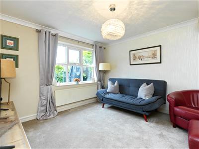 Picture 20